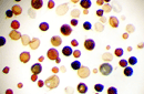Mixed spores