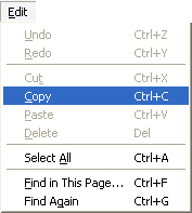 Example of Copy option (Ctrl + C)